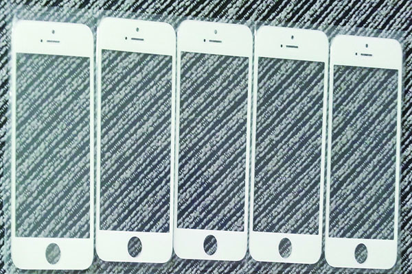 1555461408231023.jpg 1543384029439021.jpg